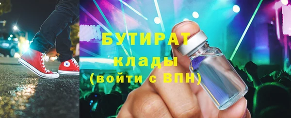 шишки Заволжье
