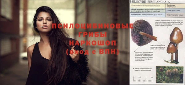 шишки Заволжье
