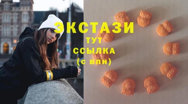 шишки Заволжье