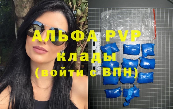 шишки Заволжье