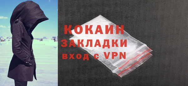 шишки Заволжье