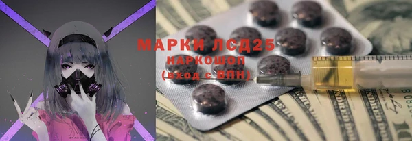 шишки Заволжье