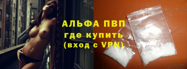 шишки Заволжье