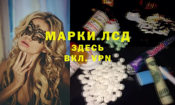 шишки Заволжье