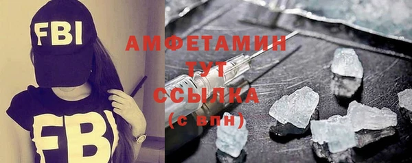 шишки Заволжье